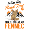 Fennec Gift Desert Fox Fennec