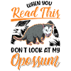 Opossum Gift Possum Marsupial