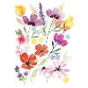 Sommerblumen