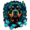 Rottweilers and butterflies