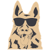 Belgian Molinois with Sunglasses
