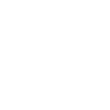 The dividend