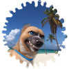 Crazy Beach Dog
