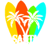 Surfboard Santa Cruz Surfer