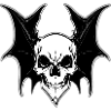 Skull with wings