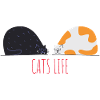 Cats life
