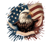 American Patriotic USA Design