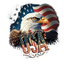 American Patriotic USA Design