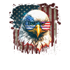 American Patriotic USA Design
