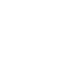 LittleFox