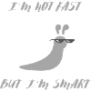 Not Fast But Smart
