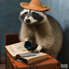 lookylooky Racoon
