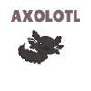 Axolotl Explication Anatomie d’un Axolotl