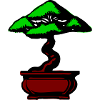 Bonsai Tree
