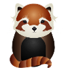 Petit panda roux exotique magique