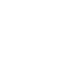 dog trainer
