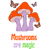 Mushrooms are magic
