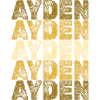 First Name Gift Hero Ayden