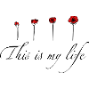 Coquelicot cycle de vie