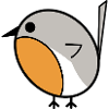 Cute little robin bird