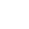 2004 Limited Edition