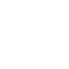 2005 Limited Edition