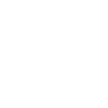 1999 Édition Limitée
