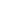2010 Limited Edition