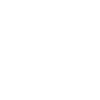 2020 Limited Edition
