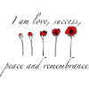 Coquelicots pavot poppy