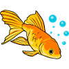 Goldfish Aquaristics Hobby Cute Fish