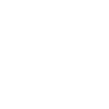 The flight