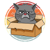 Chat dans une boîte