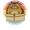Big cat in the box
