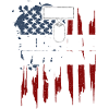 Patriot Missile Veteran - Veteran
