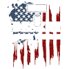 Operation Desert Storm Veteran