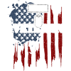 Military Veteran - Veteran