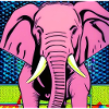 help_for_elephants_08
