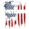 Iraq Veteran - Veteran