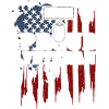 Iraq Proud Veteran - Veteran