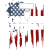 Iraq Combat Veteran - Veteran