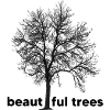 Beautiful trees