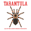 Tarentules Papa Araignée Tarentule Cadeau