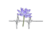 Purple Flower Gardener