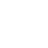 RINGMASTER OF THE SHITSHOW