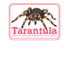 Tarentules Maman Araignées Tarentule Cadeau