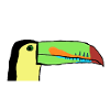 toucan