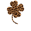 Trèfle léopard