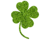 Clover Meadow grass