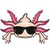 Axolotl